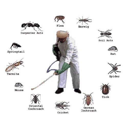 Pest Control