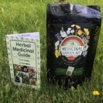 The Healing Power of Plants: Creating Your Medicinal Garden Kit 