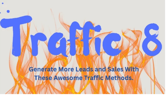 Traffic 8: A Simple Guide to Boosting Your Online Traffic and Income